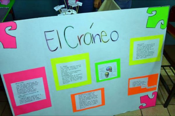 Semana de la ciencia 2012