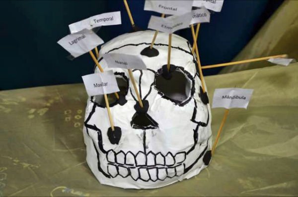 Semana de la ciencia 2012