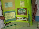                                 - Semana Ciencia Secundaria 2014